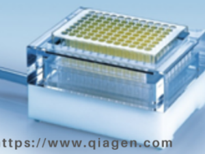 Ganexpad (Kit RNA)